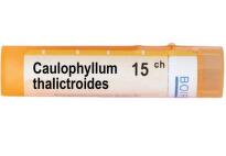 Caulophyllum thalictroides 15 ch