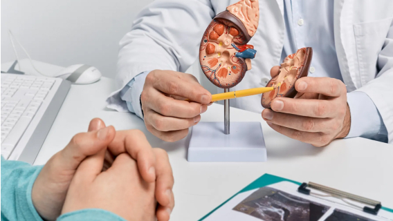 Заболявания на бъбреците