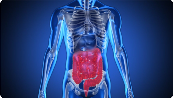 Рак на дебелото черво – предотвратяване и ранно откриване