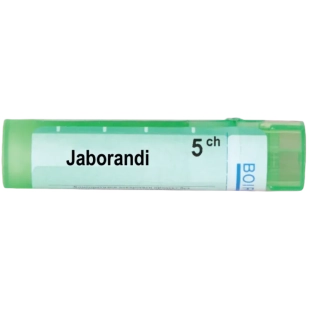 Jaborandi 5 ch