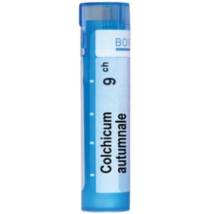Colchicum automnale 9 ch