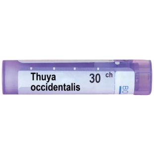 Thuya occidentalis 30 ch