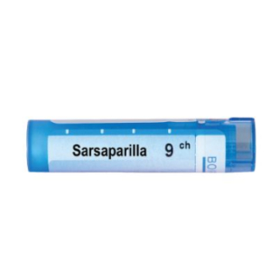 Sarsaparilla 9 ch