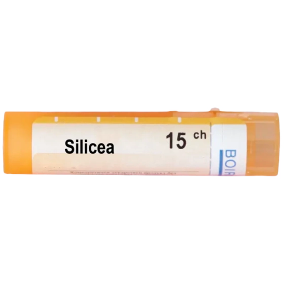 Silicea 15 ch