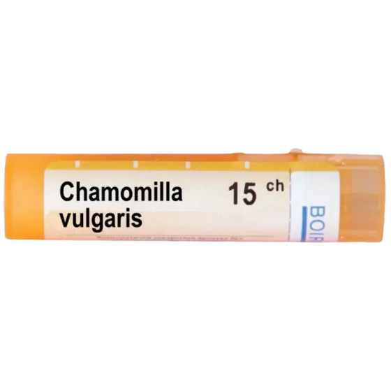 Chamomilla vulgaris 15 ch