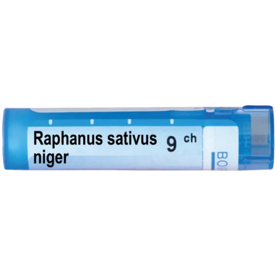 Raphanus sativus niger 9 ch