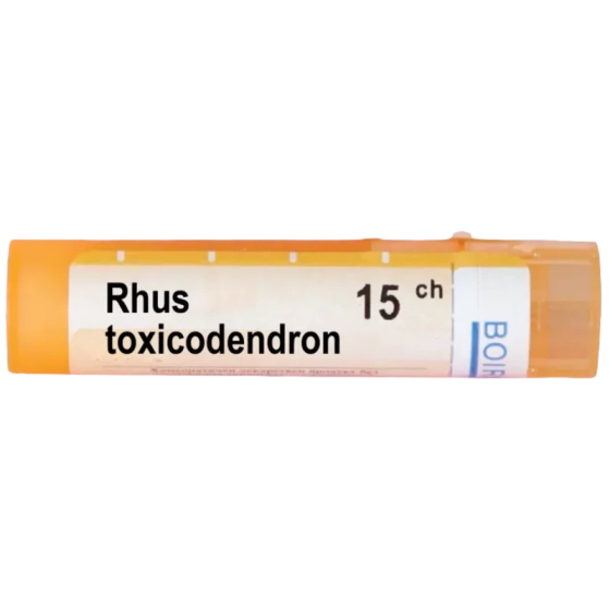 Rhus toxicodendron 15 ch