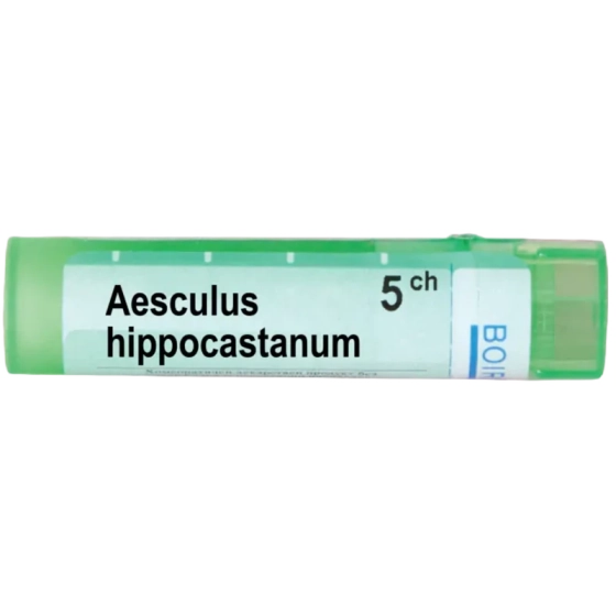 Aesculus hippocastanum 5 ch