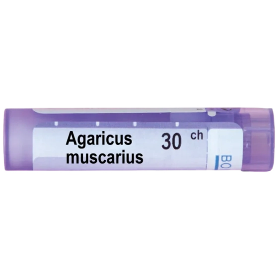 Agaricus muscarius 30 ch