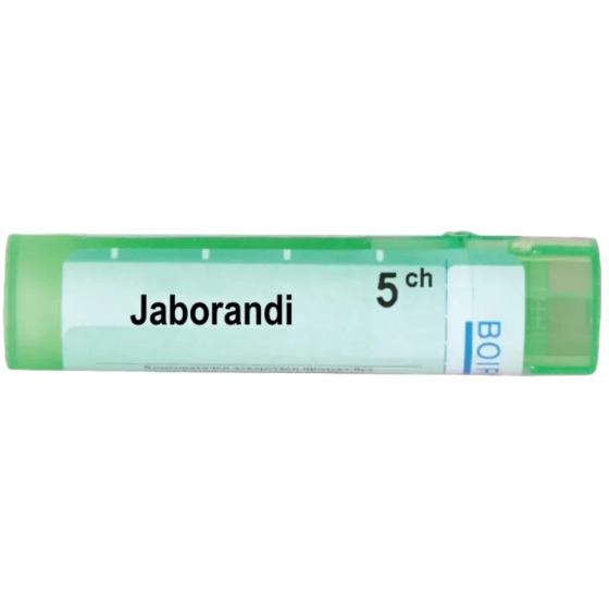 Jaborandi 5 ch