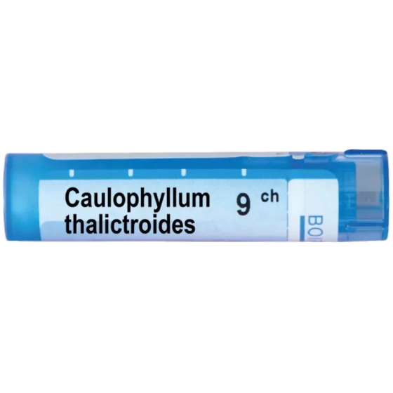 Caulophyllum thalictroides 9