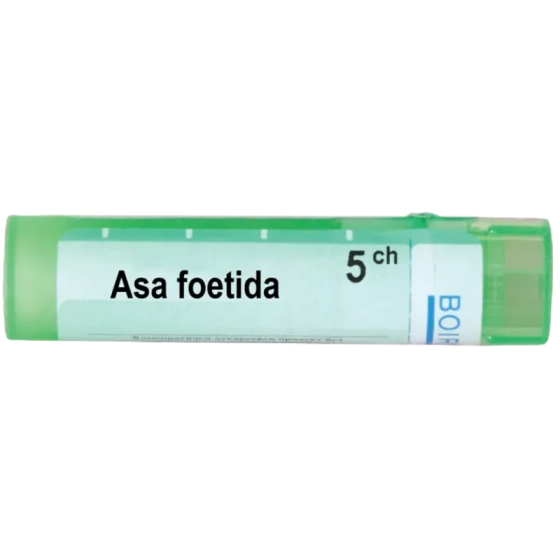 Asa foetida 5 ch