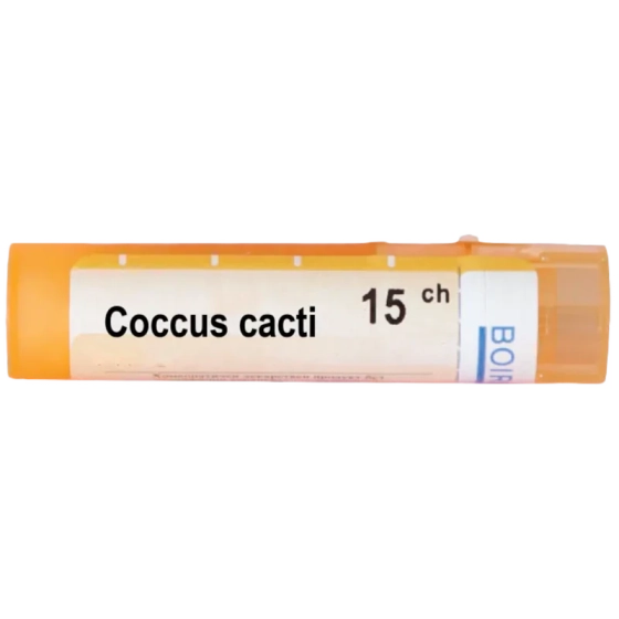 Coccus cacti 15 ch