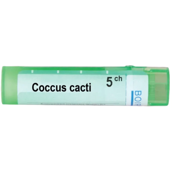 Coccus cacti 5 ch