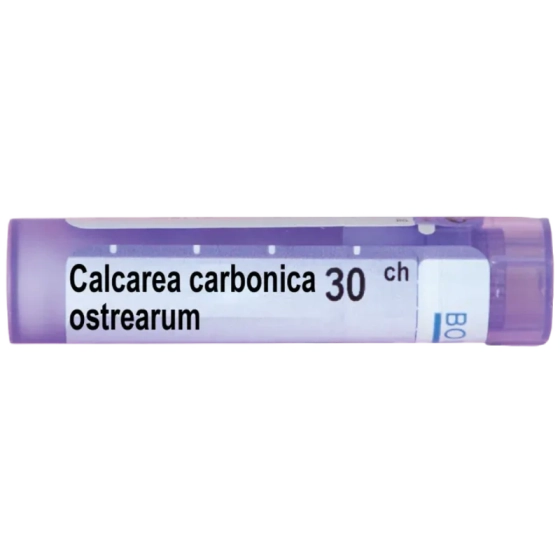 Calcarea carbonica 30 ch