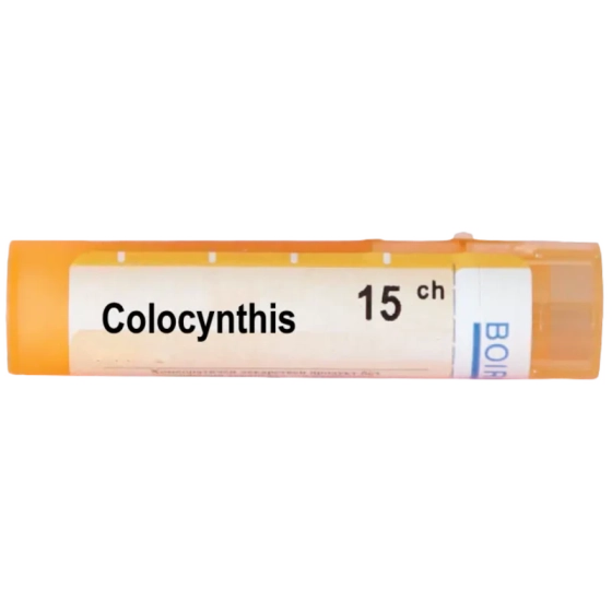 Colocynthis 15 ch