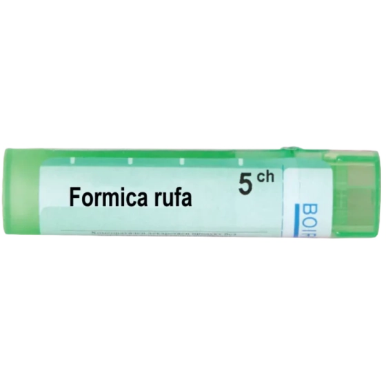 Formica rufa 5 ch