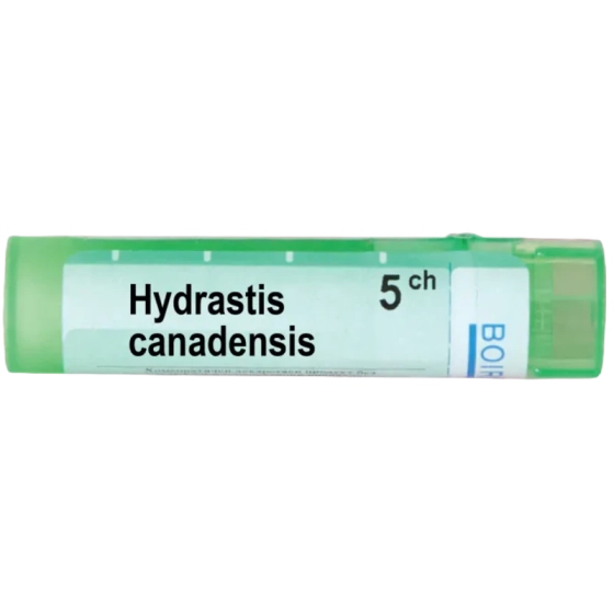 Hydrastis canadensis 5 ch