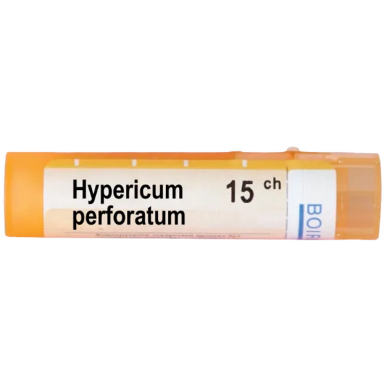 Hypericum perforatum 15 ch