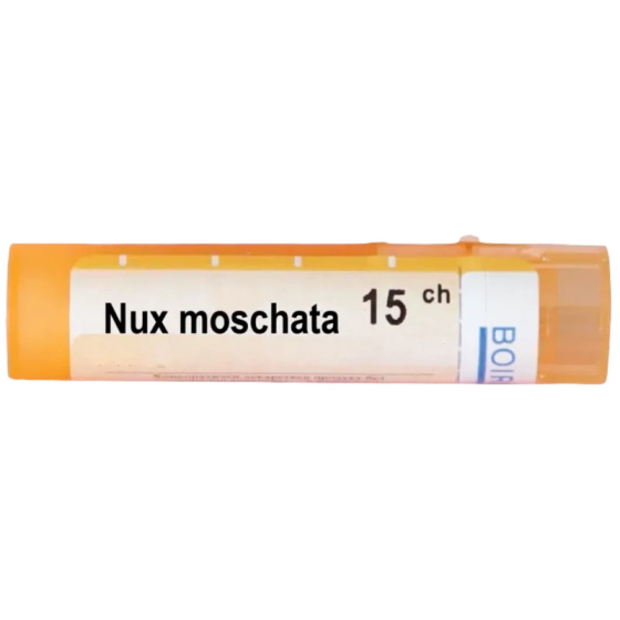 Nux moschata 15 ch