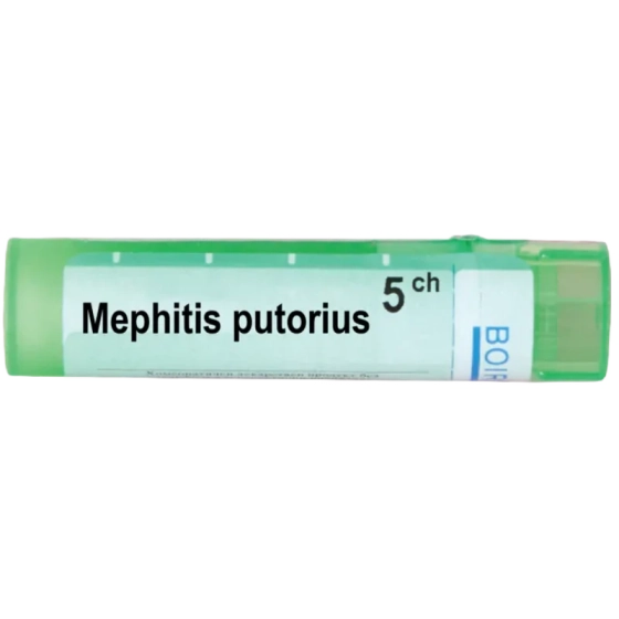 Mephitis putorius 5 ch