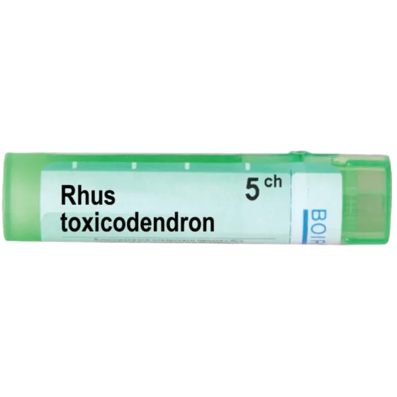 Rhus toxicodendron 5 ch