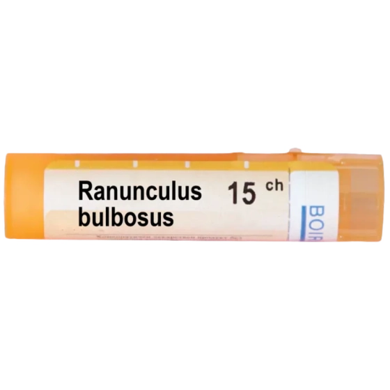 Ranunculus bulbosus 15 ch