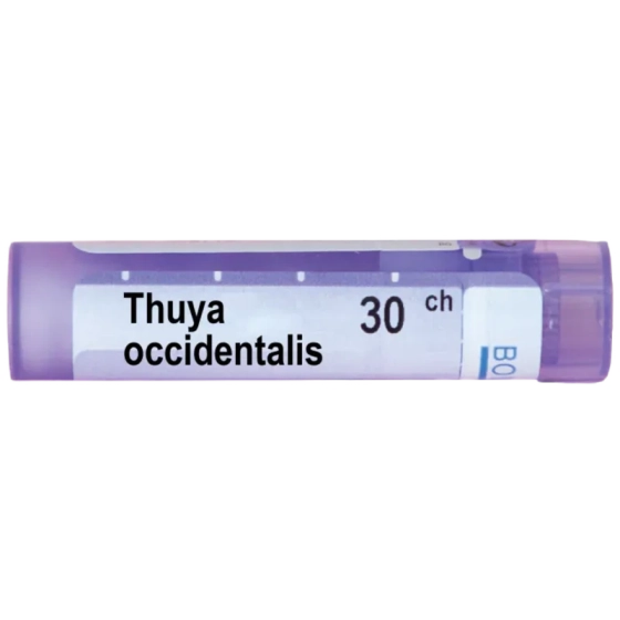Thuya occidentalis 30 ch