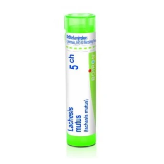 Eupatorium perfoliatum 5ch