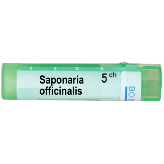 Saponaria officinalis 5 ch