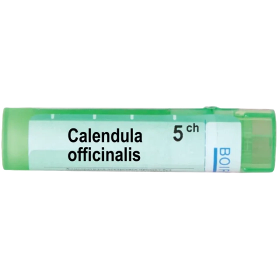Calendula officinalis 5 ch