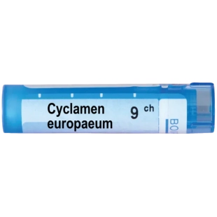 Cyclamen europeum 9 ch