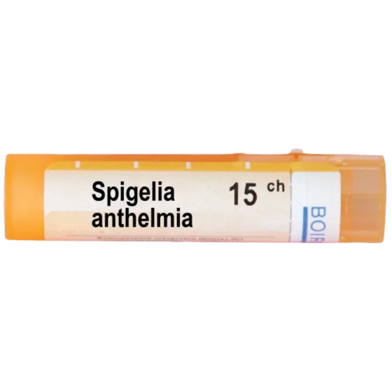 Spigelia anthelmia 15 ch