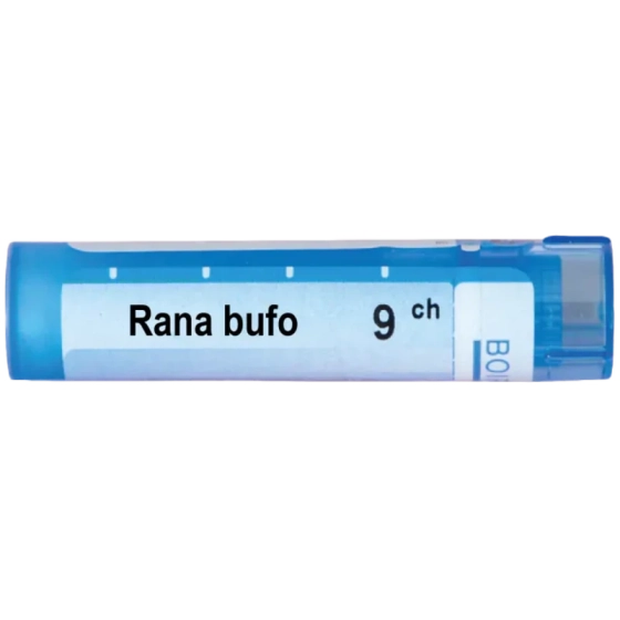 Rana bufo 9 ch