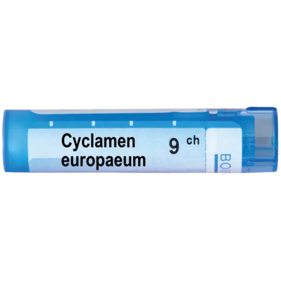 Cyclamen europeum 9 ch