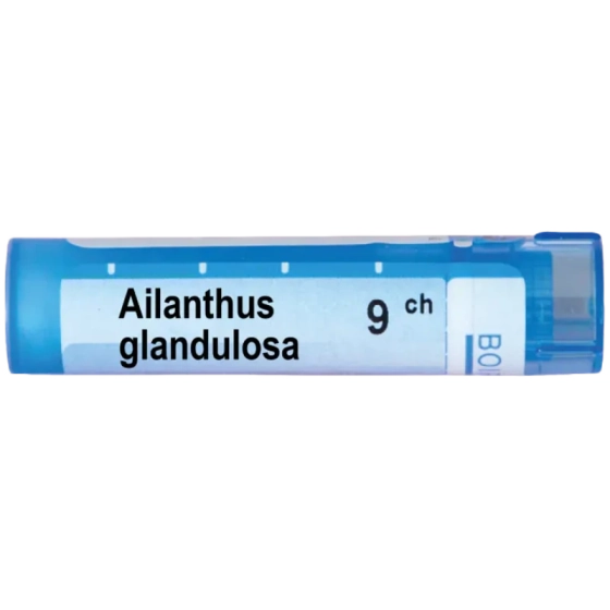 Ailanthus glandulosa 9 ch