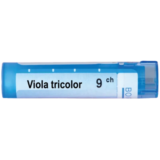 Viola tricolor 9 ch