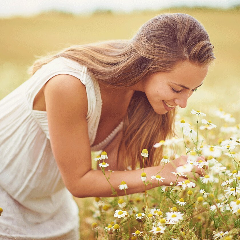 bilki-za-jensko-zdrave