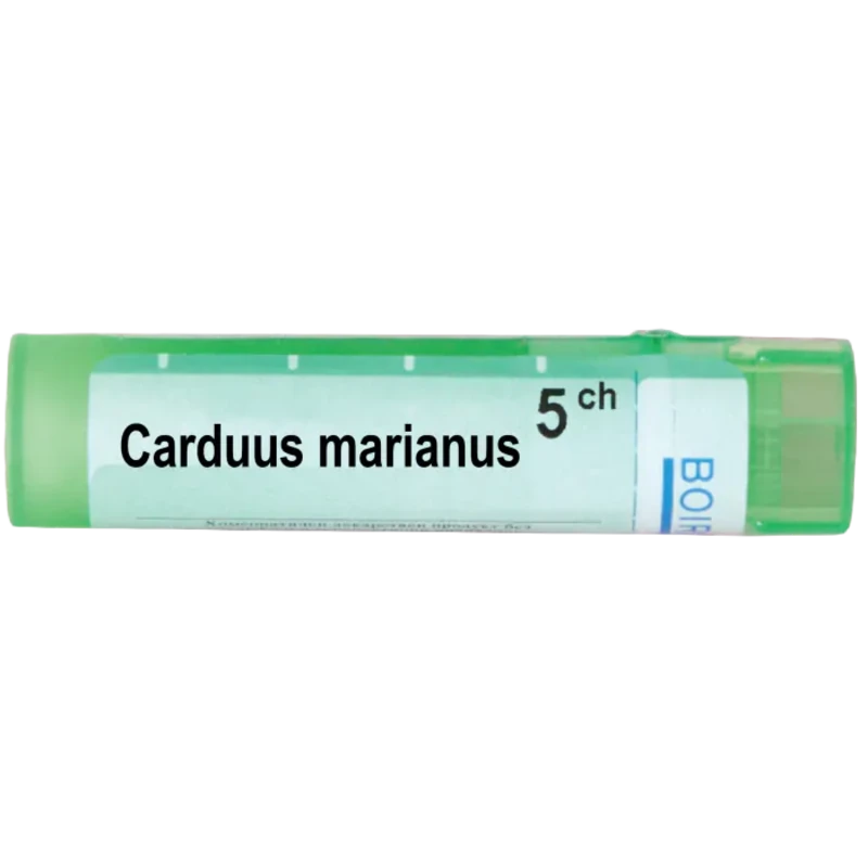 Carduus marianus 5 ch