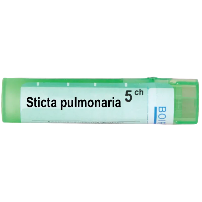 Sticta pulmonaria 5 ch