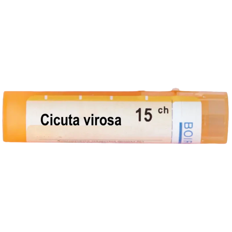 Cicuta virosa 15 ch