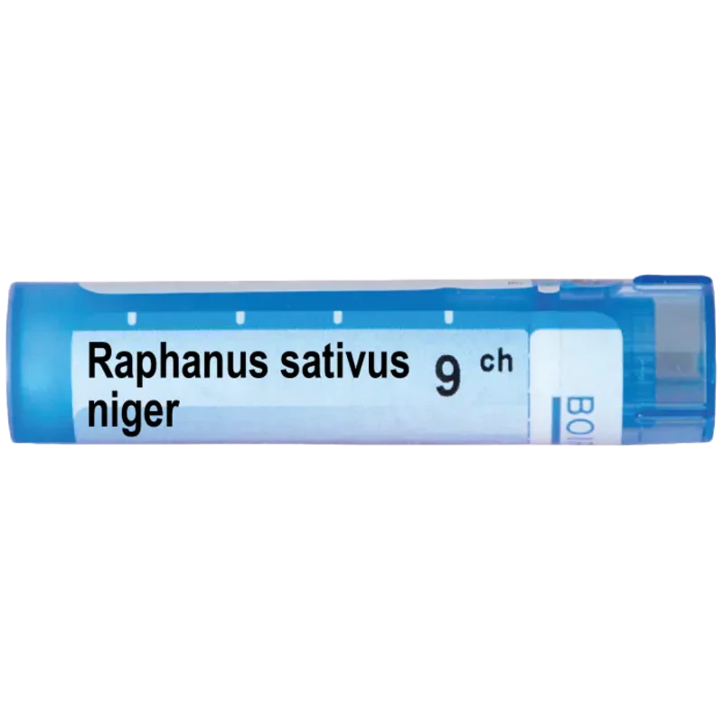 Raphanus sativus niger 9 ch
