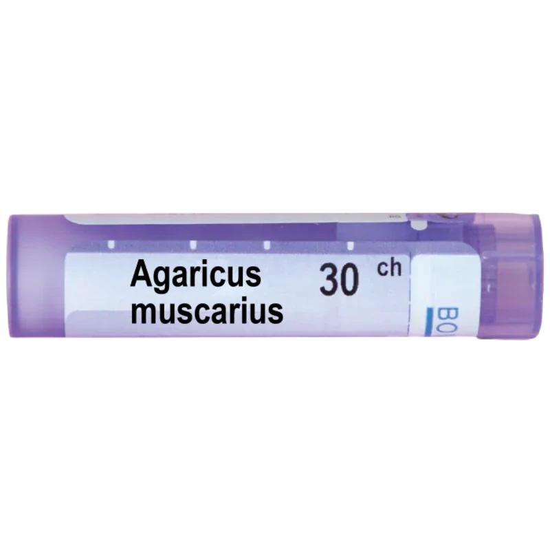 Agaricus muscarius 30 ch