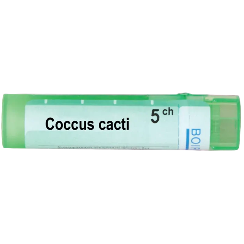 Coccus cacti 5 ch