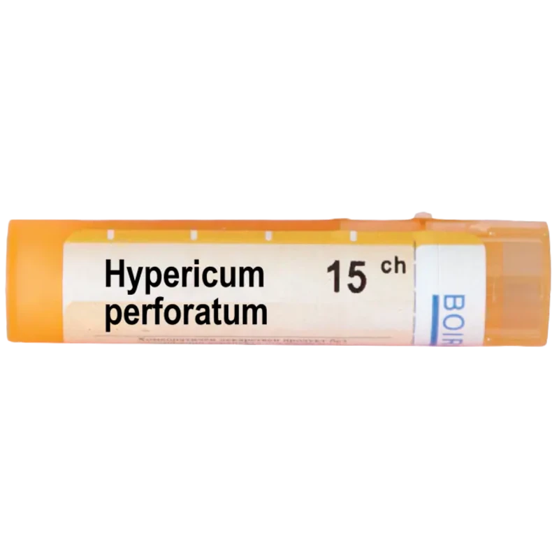 Hypericum perforatum 15 ch