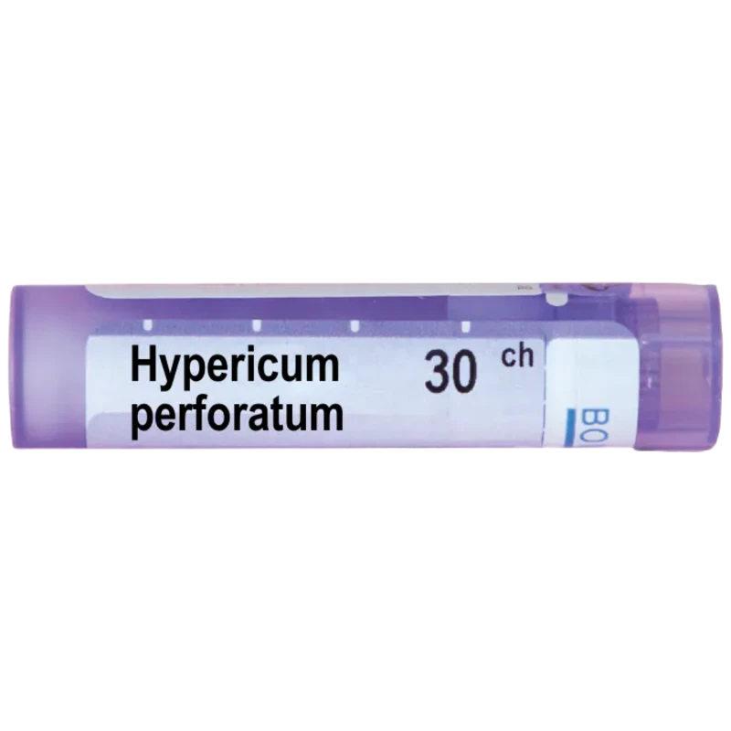 Hypericum perforatum 30 ch