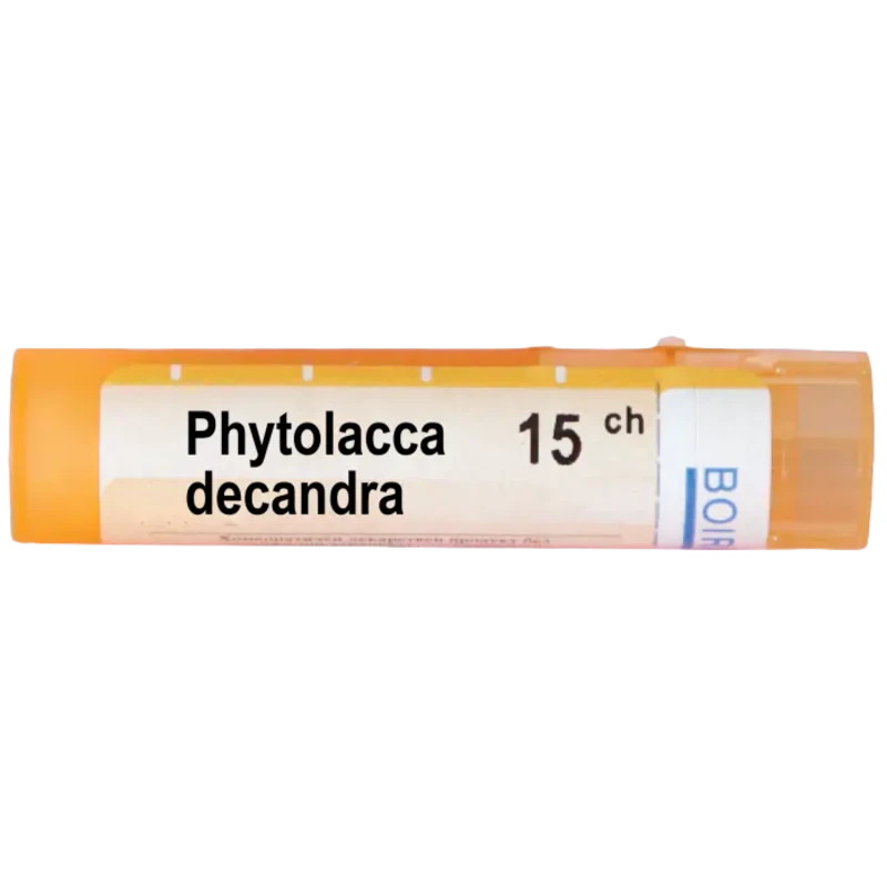 Phytolacca decandra 15 ch