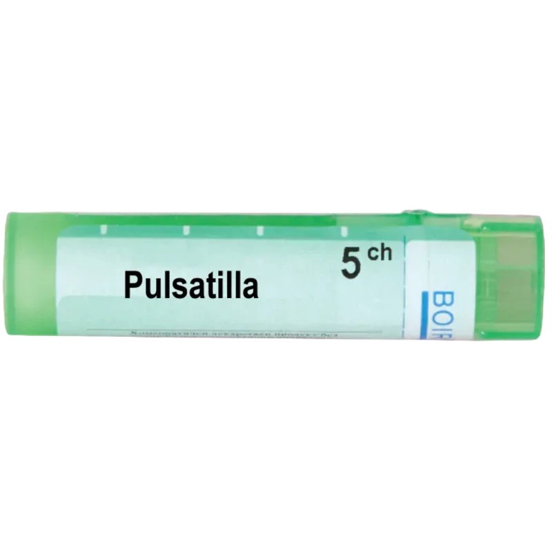 Pulsatilla 5 ch