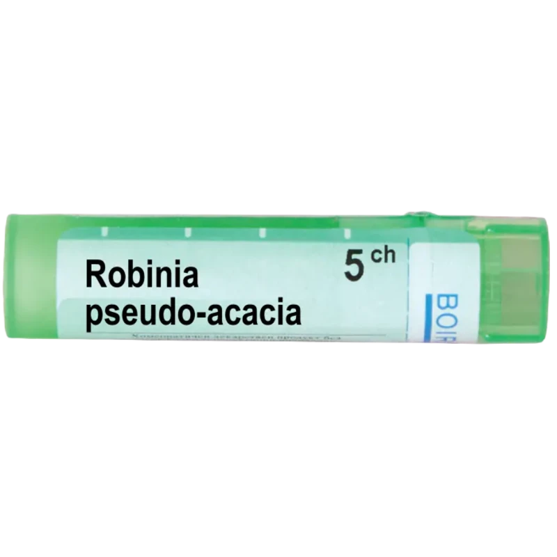 Robinia pseudo acacia 5 ch