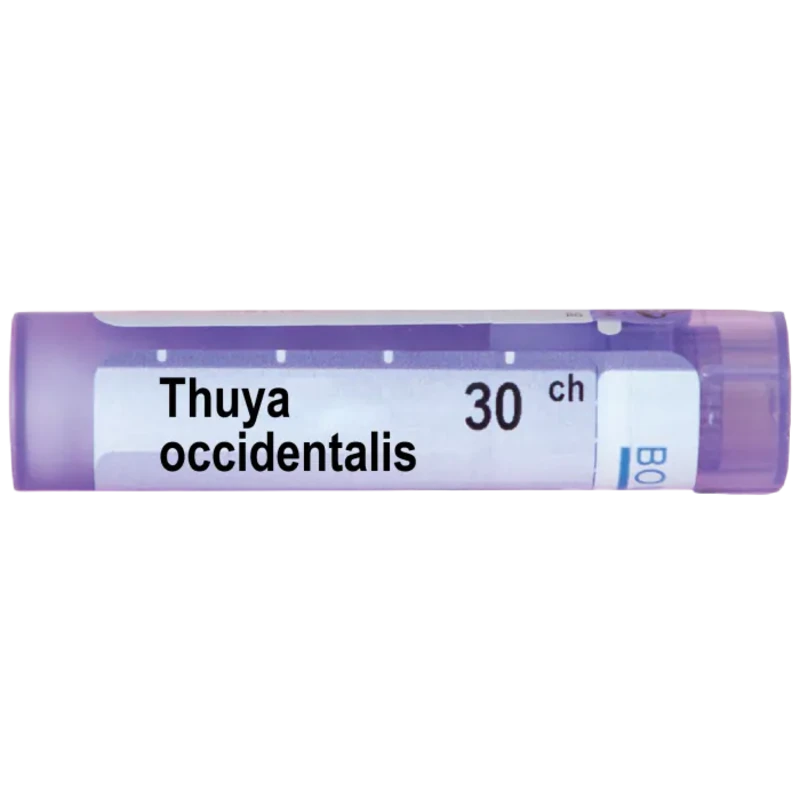 Thuya occidentalis 30 ch
